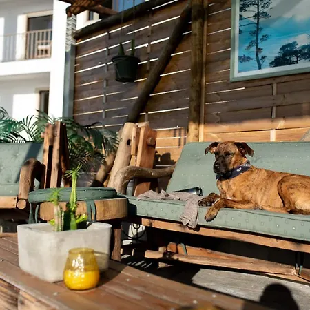 Intuitiva - Relaxation And Mindful Homestay *