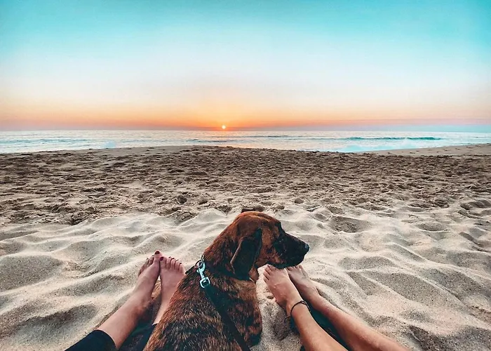 Intuitiva - Relaxation And Mindful *