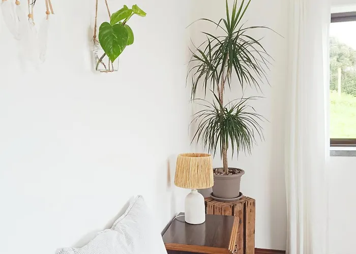 Homestay Intuitiva - Relaxation And Mindful